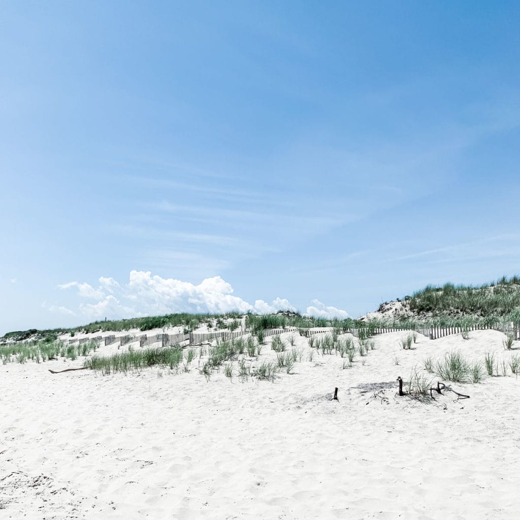 Beach dunes in Southampton, New York.